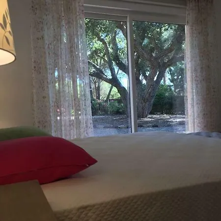 Appartement Dans Avec Piscine Et Barbeque, Raphael Valescure, Plages *